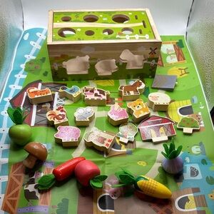 Montessori farm animal shape sorter toy.